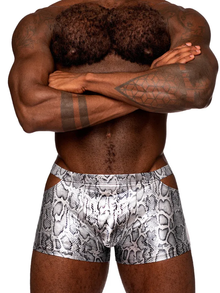 Anal snaked Pouch Short Large Silverblack Male Power